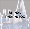 Animal pharm/tox