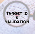 Target id & validation